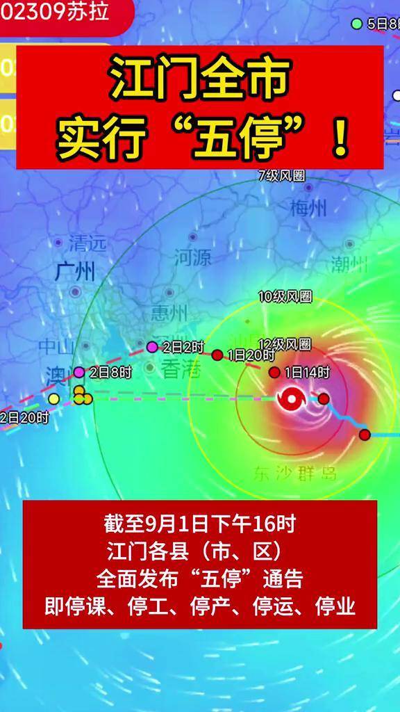 江门最新发布，任务完成与技能学习详细步骤指南