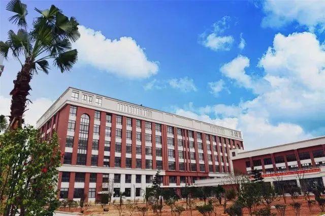 温州最新动态，城市变迁中的学习之光