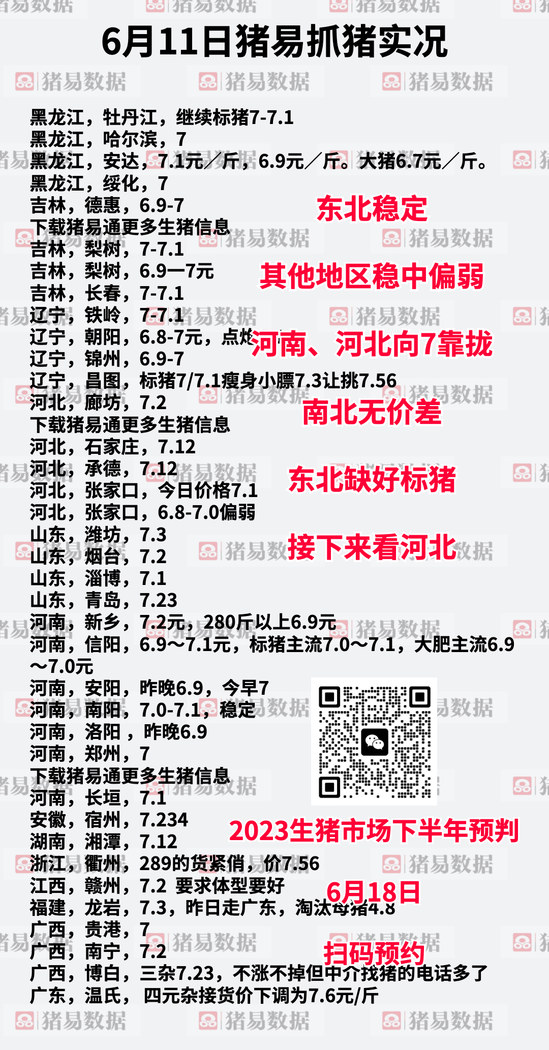 沙滩最新猪价行情与寻找内心平静的自然美景之旅