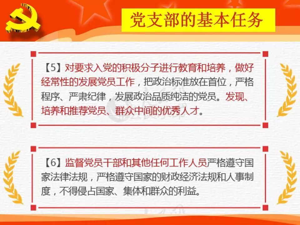 最新印发条例解读与应用分析指南