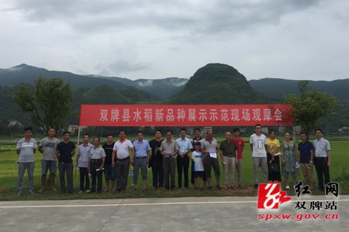 双牌县新时代新面貌，探寻最新发展与变化